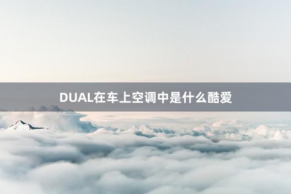 DUAL在车上空调中是什么酷爱
